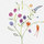 Primavera | Ceramica Bardelli
