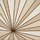 Graphics | Ann Sacks