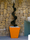 Fang | Vondom