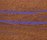 mafi Tiger EICHE violett | mafi