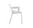 salsa | Brunner