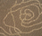 Rosa Trevira CS | BUVETEX INT.