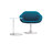 Turtle | Walter Knoll