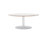 Dual | Andreu World