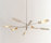 Torroja | David Weeks Studio