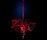 Fuschia Chandeliers | Willowlamp