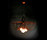Moonflower Chandeliers | Willowlamp