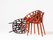 Vegetal | Vitra
