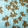 Ivy | Abet Laminati
