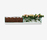 Front Plant | Karl Andersson