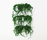 Front Plant | Karl Andersson