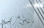 Madras® Textures | Vitrealspecchi