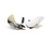 Flat Knot Bowl | MOVISI