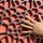 Art Diffusion® HSPVT Screen | Interlam