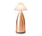 Owl 3 Tall | Neoz Lighting