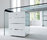 President | Gallotti & Radice