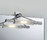 WING | DECOR WALTHER