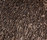 SG Polly Premium | KYMO