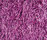 SG Polly Premium | KYMO