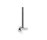 Tara. Bathroom | Dornbracht