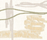 Grand Fleuve | Diurne