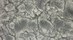 MDF Composite 014/X0848 | Kinon