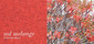 colors | acousticpearls