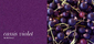 colors | acousticpearls