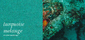 colors | acousticpearls