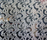 Floral | Inox Schleiftechnik