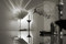 Queenlight | Andreas Janson