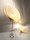 Queenlight | Andreas Janson