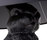 rabbit, pig & horse | moooi