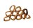 Fossile | Roche Bobois International
