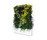 Moving Hedge | Greenworks