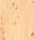 Classic Coniferas | Admonter