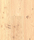 Classic Coniferas | Admonter