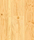 Classic Coniferas | Admonter