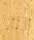 Classic Coniferas | Admonter