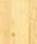 Classic Coniferas | Admonter