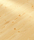 Classic Coniferas | Admonter