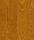 City Floor | Admonter