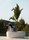 Vases | Vondom
