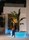 Vases | Vondom