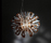 Creatures | Slamp