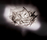 Veli | Slamp