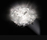 Veli | Slamp