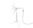 Lichtnote | dua