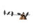 Birds on Wire | Covo