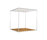 QZone | ALL+